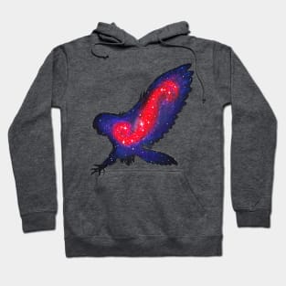 Galaxy Owl Hoodie